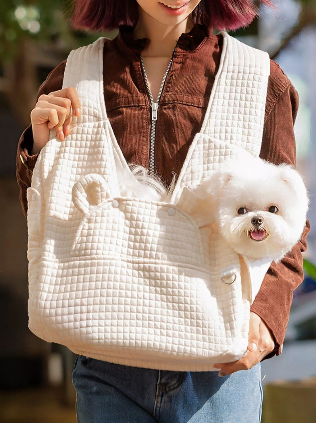Pet Accessories