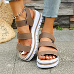 Light Brown