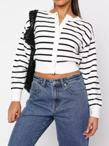 Black And White Stripes