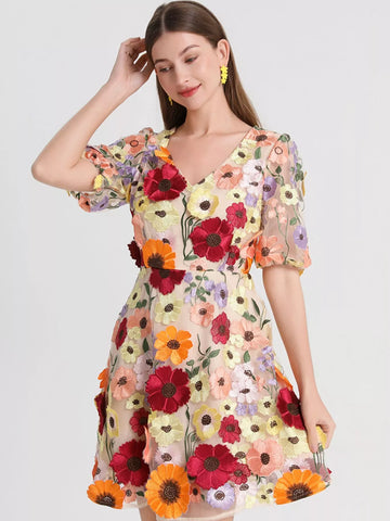 Plus Size Embroidered Floral V Neck Mini Dress