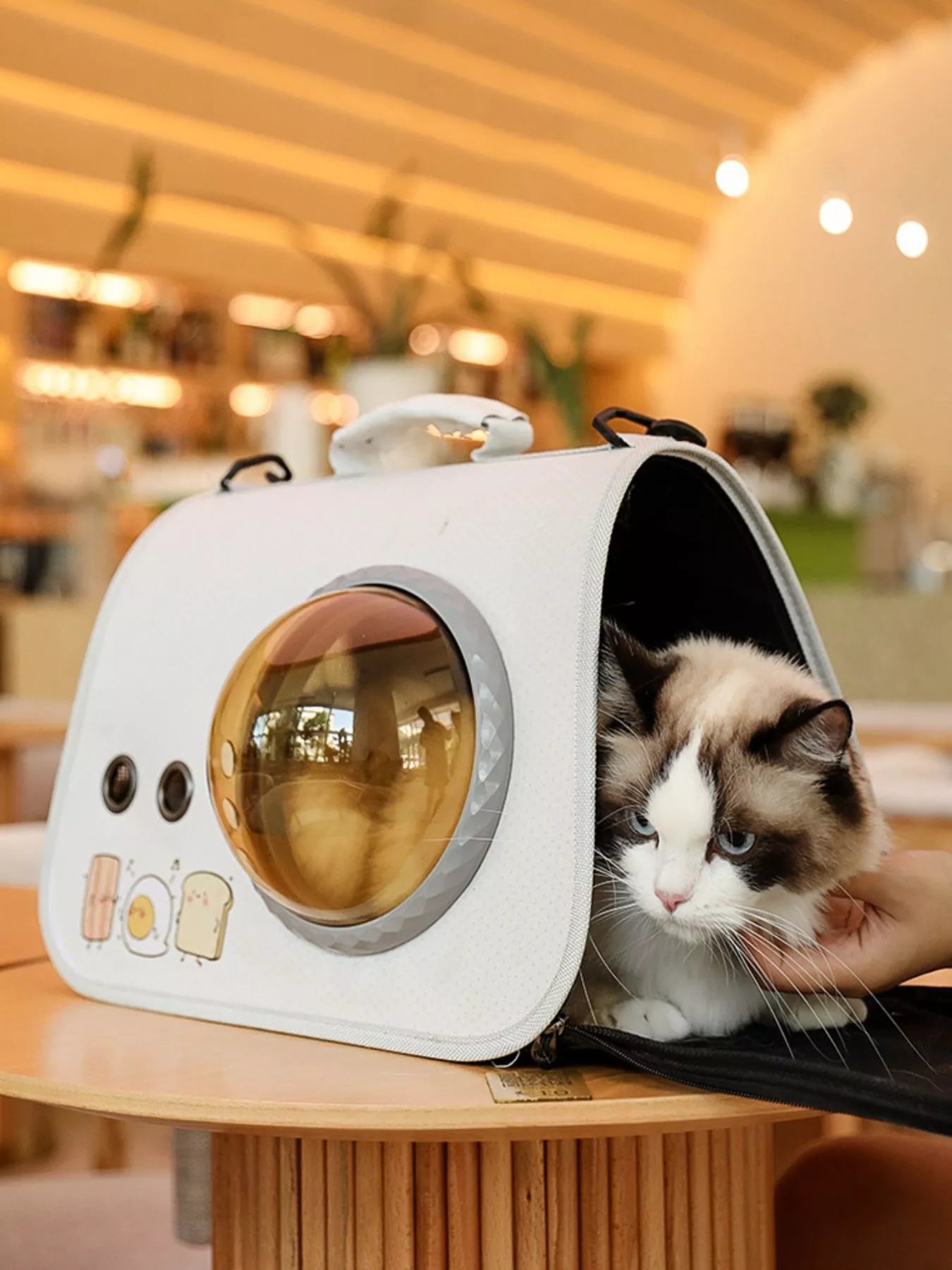 Bubble Window Pet Carrier Bag selected from Pet Accessories for Polished Companions: The Pet Accessories Edit