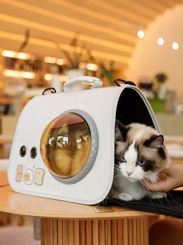 Bubble Window Pet Carrier Bag
