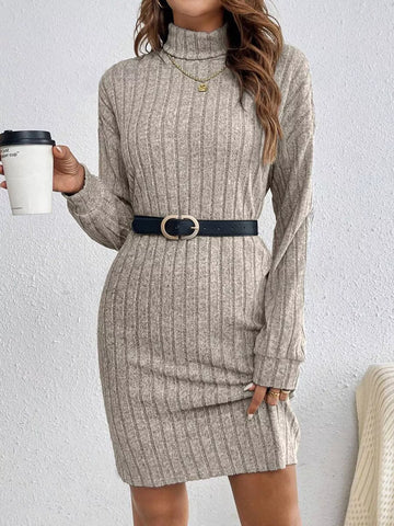 Turtleneck Ribbed Knit Dress