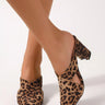 Leopard