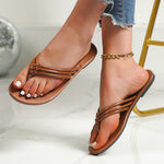 Light Brown