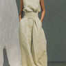 Apricot Color