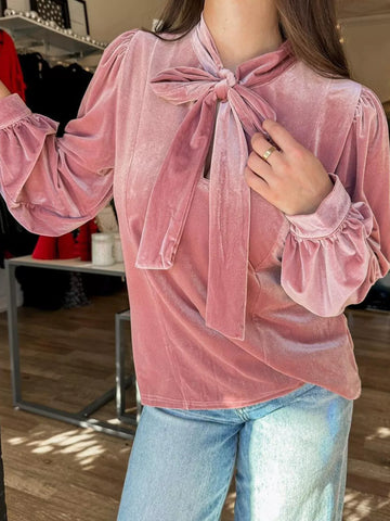 Velvet Tie Neck Blouse