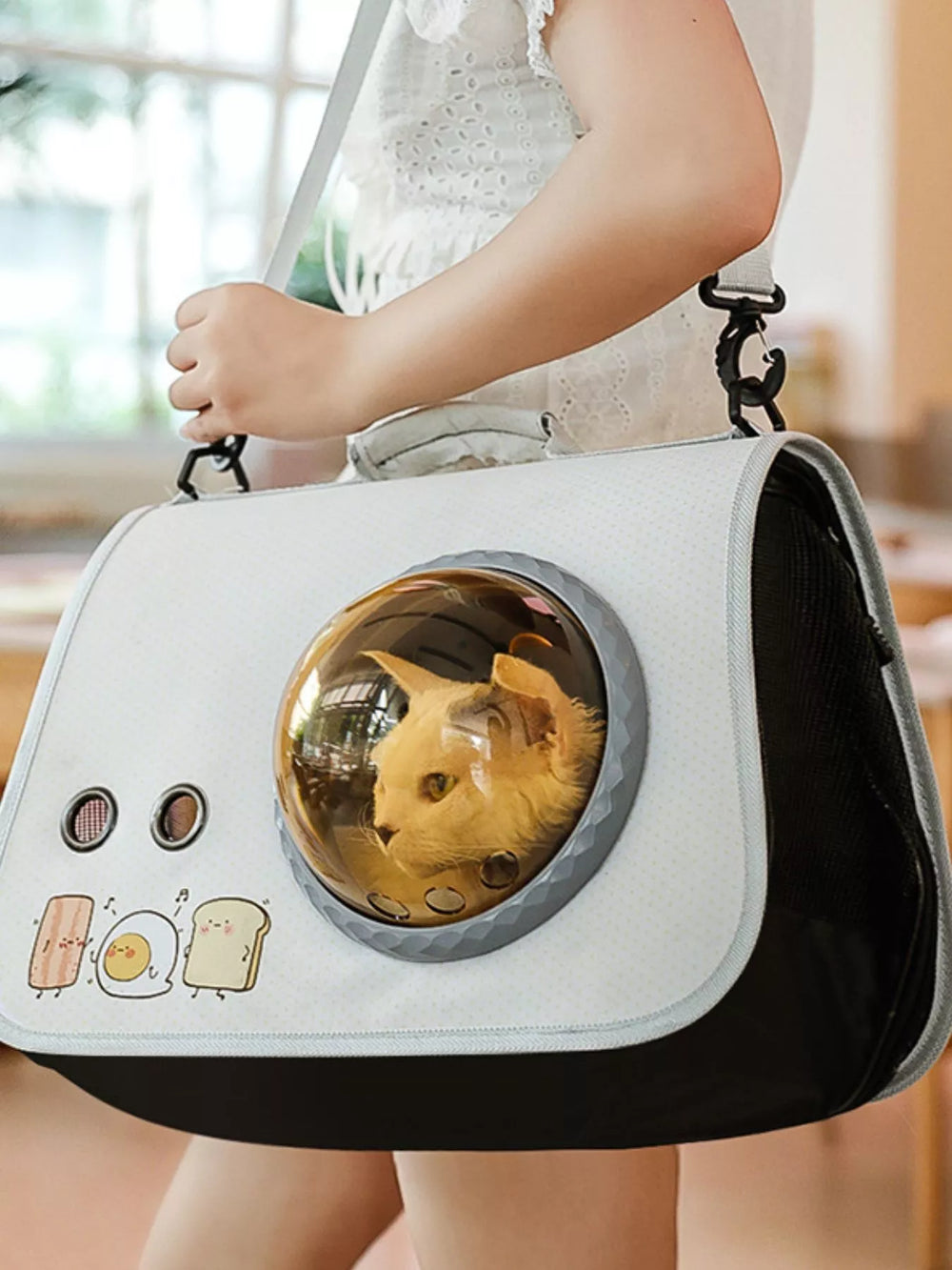 Bubble Window Pet Carrier Bag